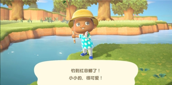 动物森友会手机版(Pocket Camp),动物森友会下载手机版,动物森友会官方正版下载,第6张